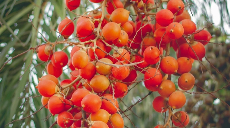 건설현장 스마트기기, 생산성 향상