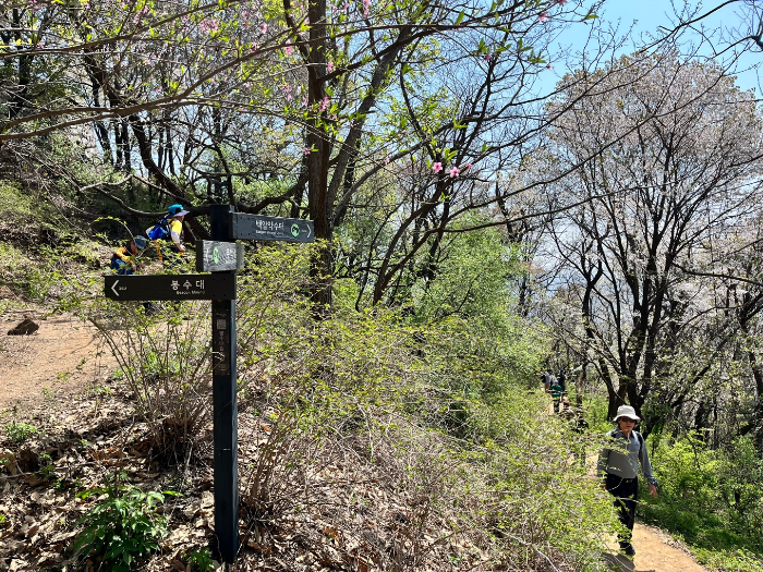 하산하는 길