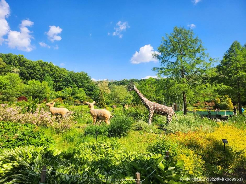 부천 무릉도원수목원