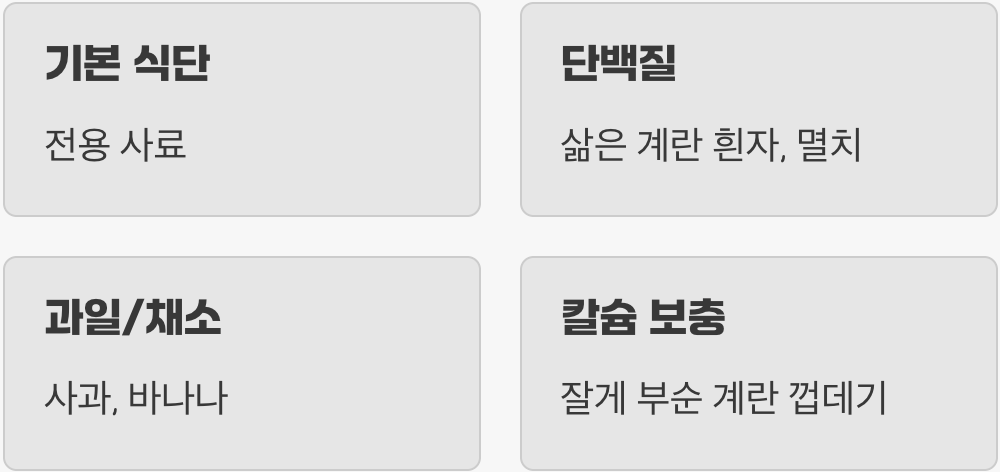 사료만 먹는 편식쟁이