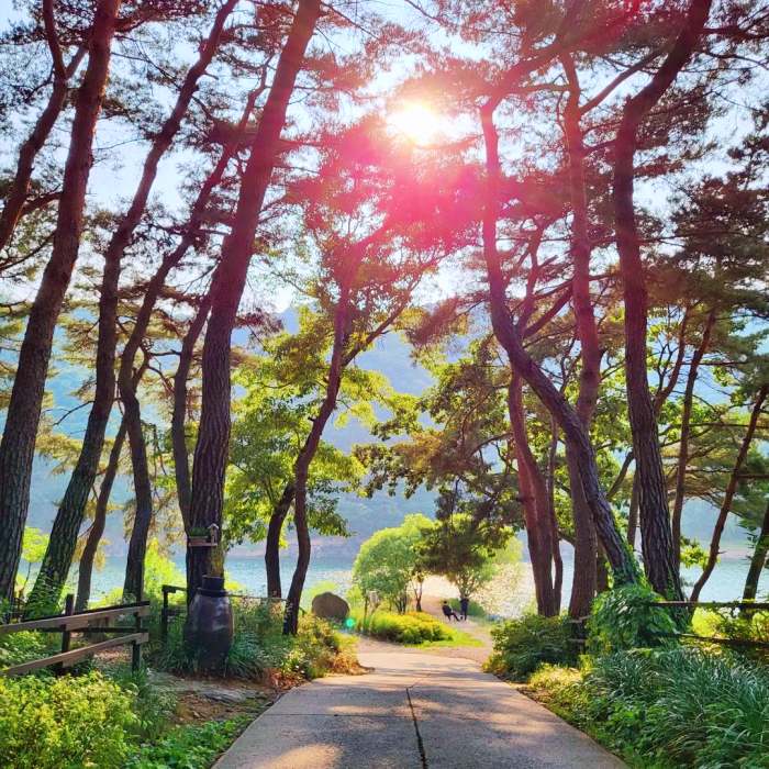 노주현 운영 레스토랑 카페 고르곤졸라 피자 지중해 해산물 파스타 안성 맛집