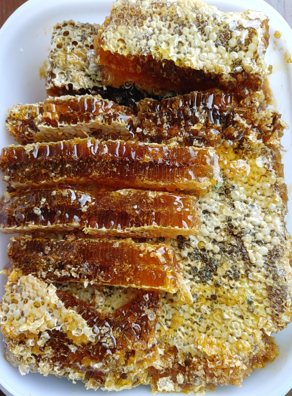 심청야생꿀