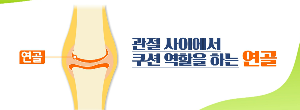 보스웰리아 효능