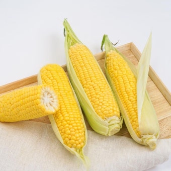 초당옥수수 삶는 방법(버터구이&amp;#44; 솥밥 등)