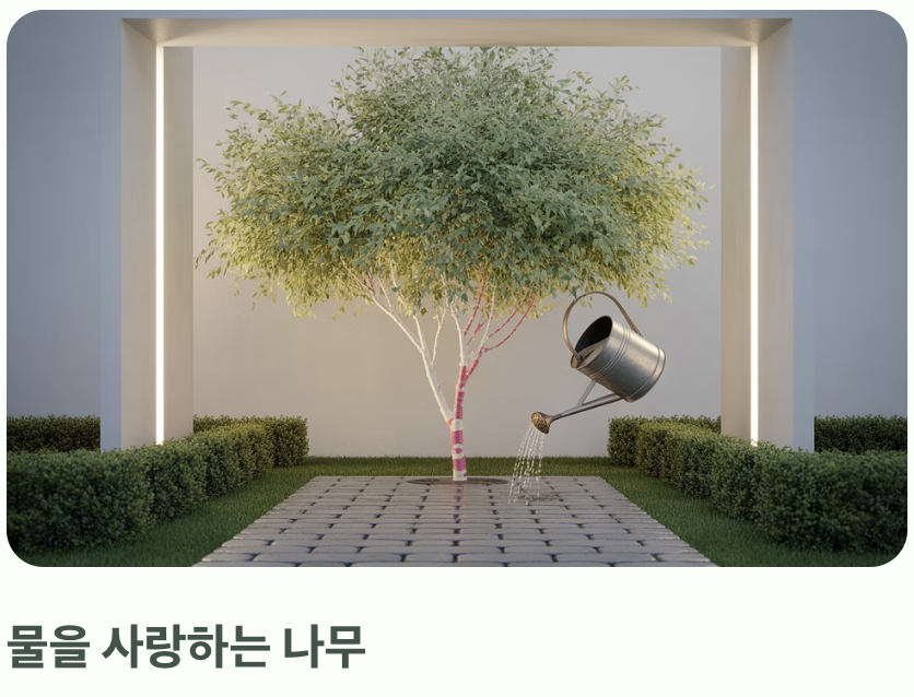 물을 사랑하는 나무, 그러나 과습은 금물