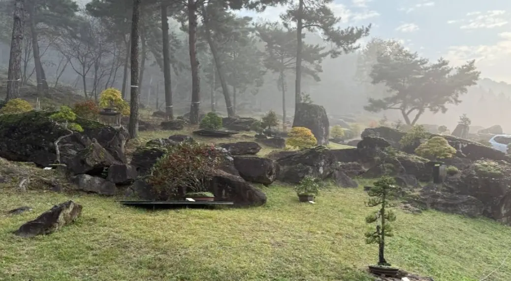 화순 고인돌 가을꽃 축제 일정 프로그램 입장료 주변 맛집 숙소 교통