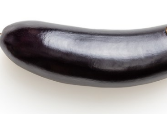 가지 몸통