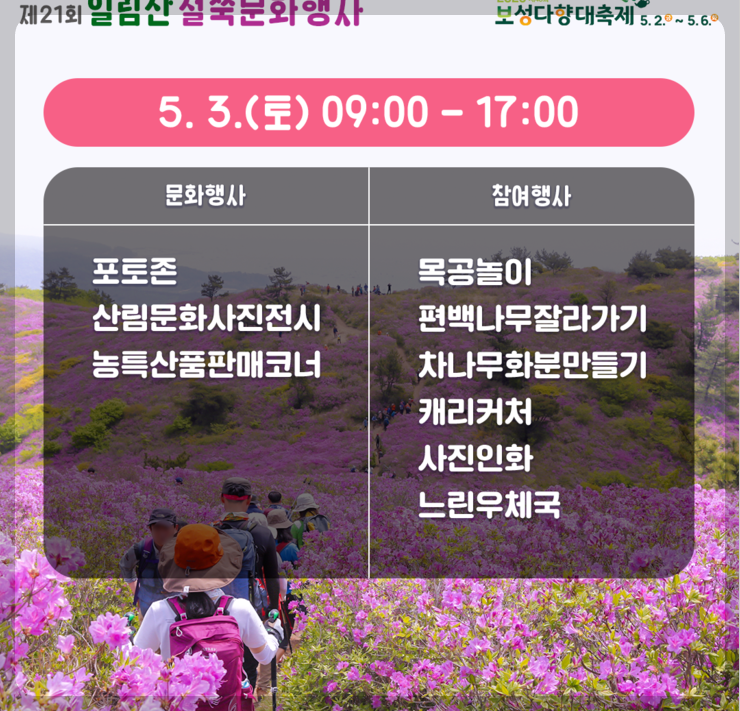 일림산 철쭉 축제 개화상황