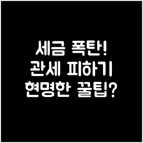 불필요한 지출 방지: 통관 수수료 절..