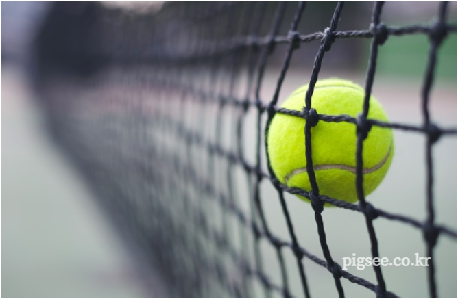 테니스-신서의-스포츠
