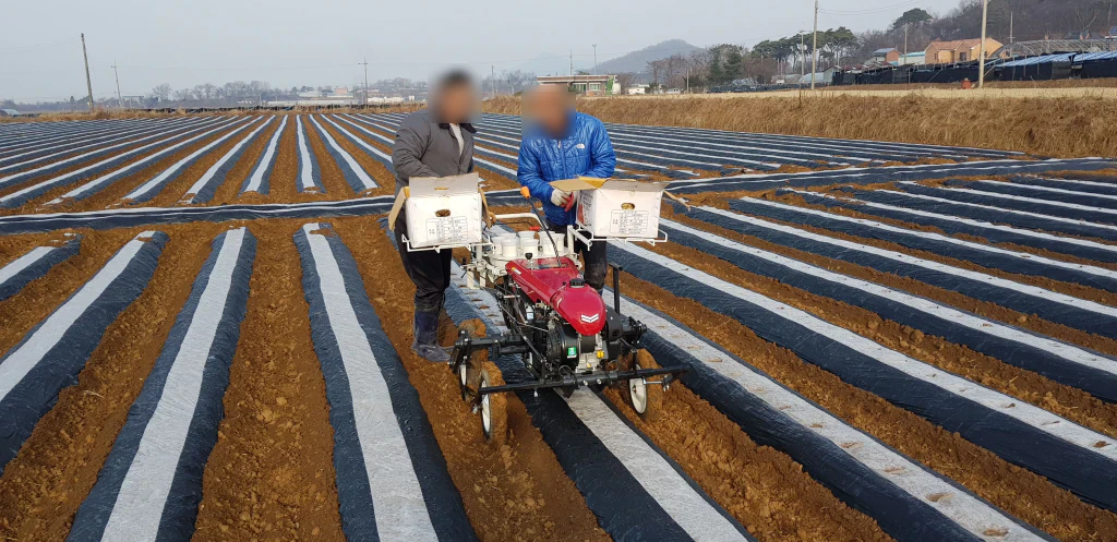 밭농사 한 해를 한눈에 — 보리, 감자, 고구마, 순무, 고추까지 5