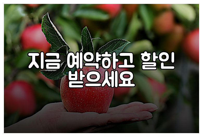 지금 예약하고 할인 받으세요