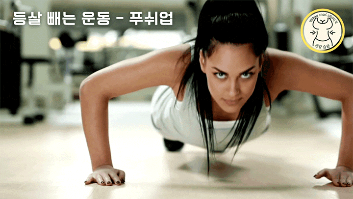 아름다운 뒷 모습를 위한 등살 빼는 운동 5가지 - 팔굽혀 펴기