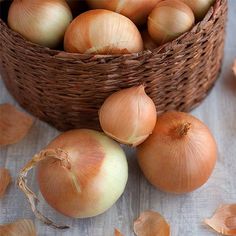 간에 좋은 음식 10가지 좋은 약초 간에 나쁜음식