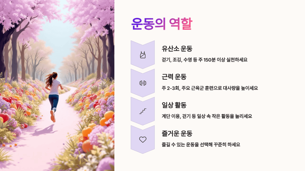 운동의 역할