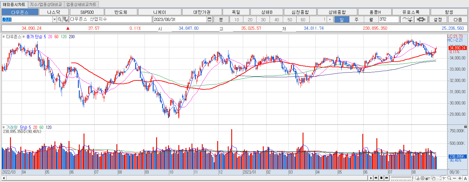 8.31 다우지수 마감