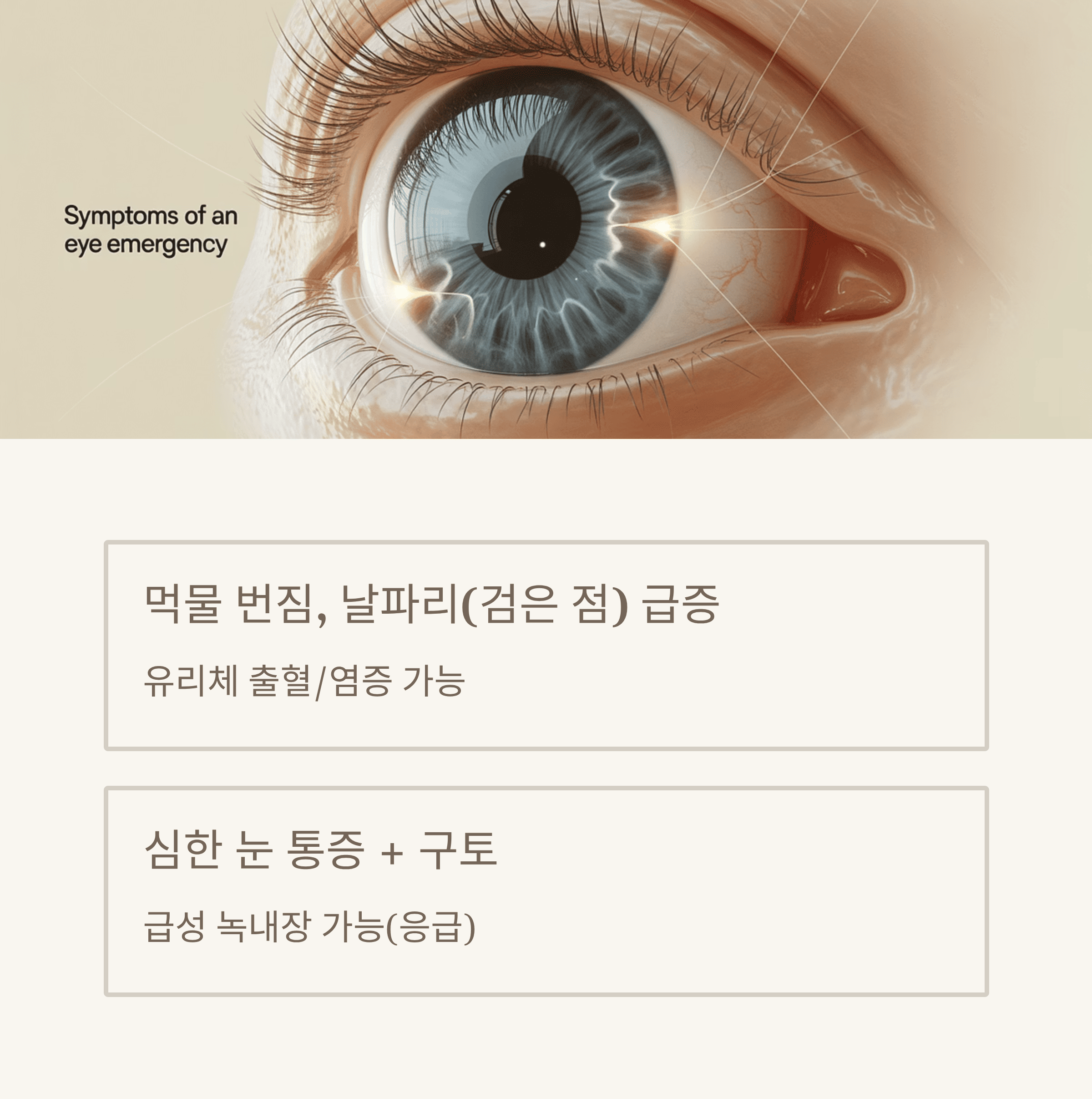 눈이 보내는 경고 신호 12가지