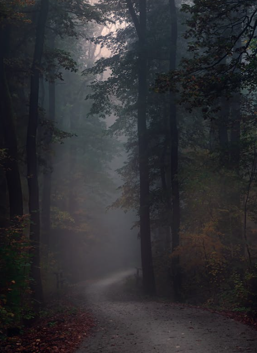 수능 당일 날씨