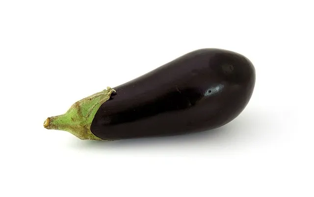 가지요리 맛있게 만드는 방법 가지볶음 쉬운 레시피 정리_9