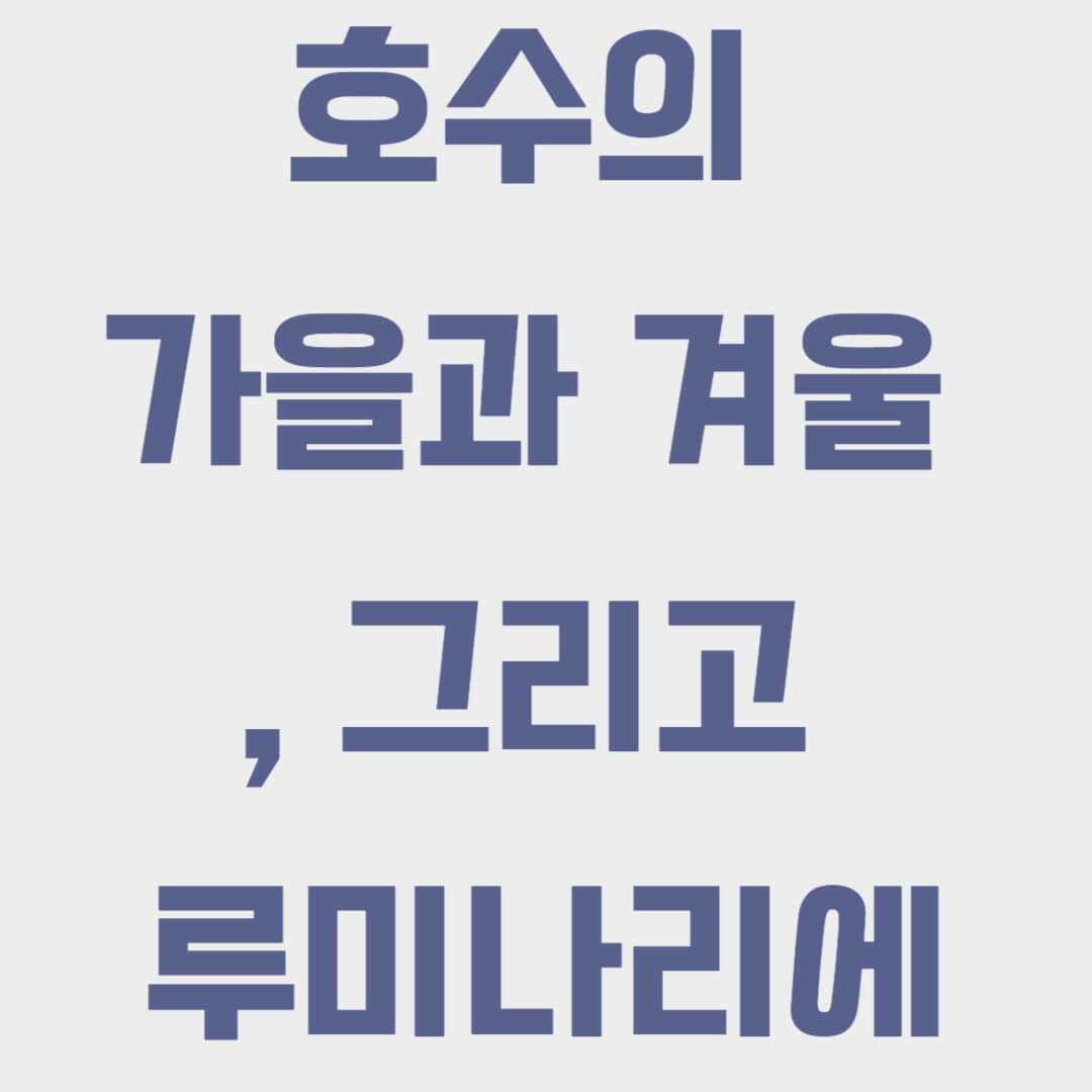 송파구 석촌호수 행사 가볼만한 곳, 호수의 가을과 겨울 그리고 루미나리에, 야경 명소 인스타감성