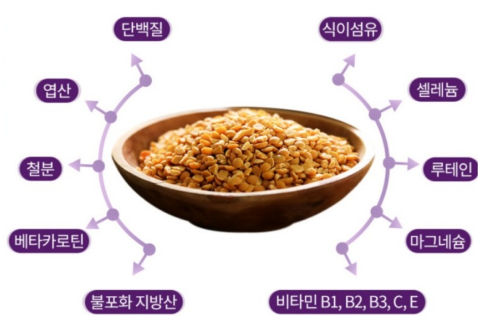 루피니빈 당뇨