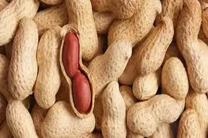 땅콩
