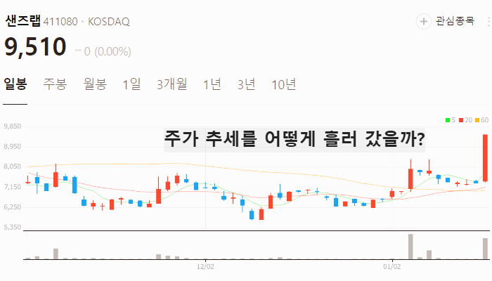 사이버 보안 관련주 대장주 테마주 주식 TOP7
