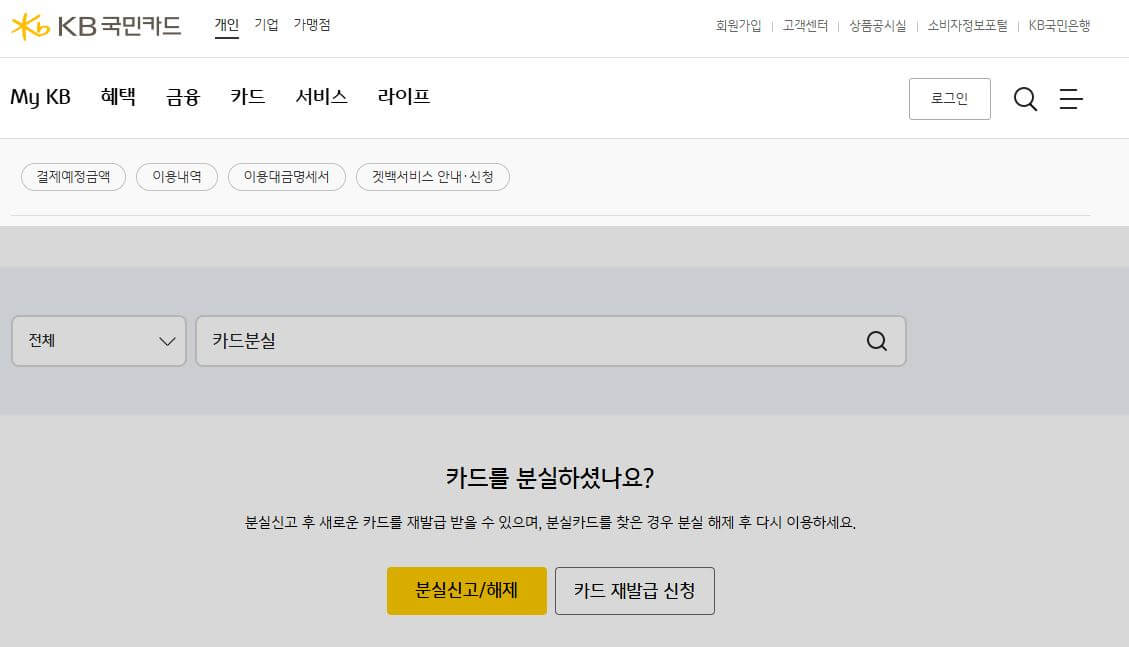 국민카드 분실신고 방법, 분실 시 대처법과 재발급까지