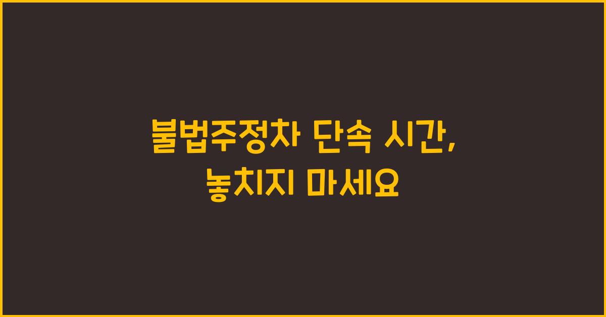불법주정차 단속 시간