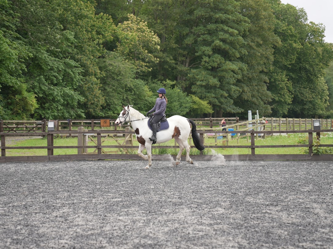 Trot