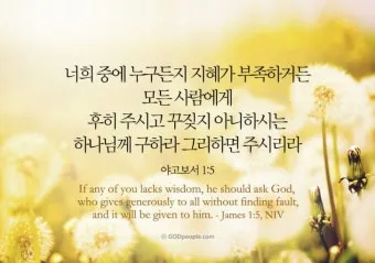 야고보서 1장 17절 해석 - 온갖 좋은 은사와 온전한 선물이 다 위로부터 내려오나니_8
