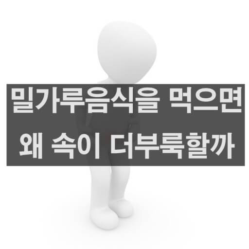 밀가루와 소화능력