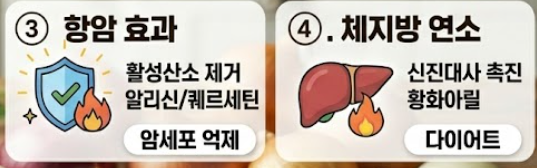 양파 효능
