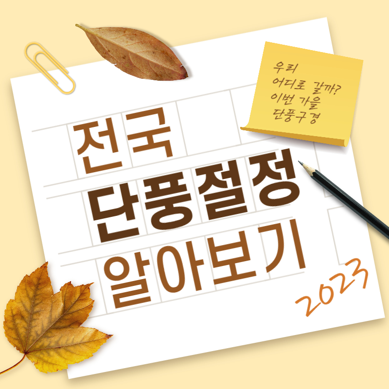 단풍 절정