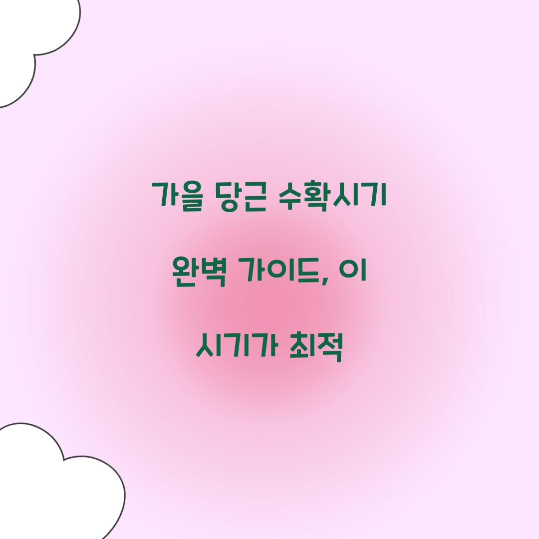 가을 당근 수확시기
