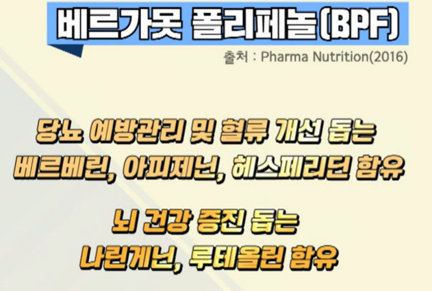 베르가못폴리페놀