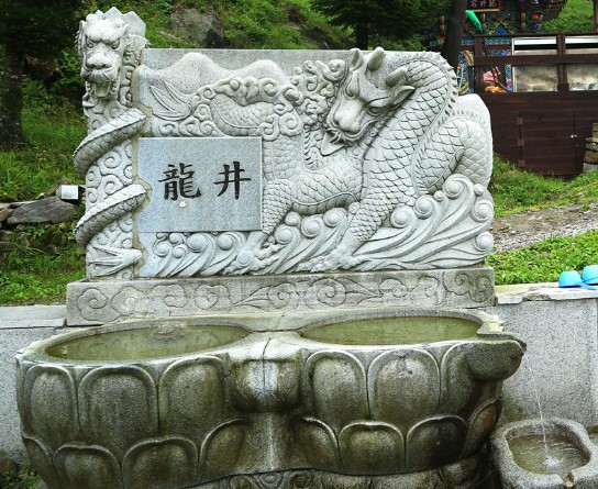태백산 용정