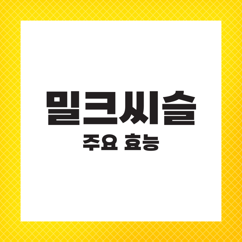 밀크씨슬 영양제 복용법 효과 하루 권장량