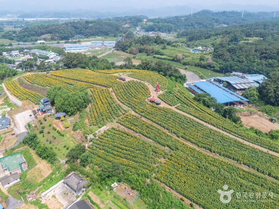 함안 가볼만한곳 베스트 10