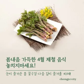 4월 제철음식 제철 생선 과일 채소 모음_20