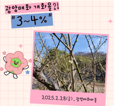 개화상황1