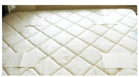 빈대 퇴치제(빈대 살충제) 순위 및 추천 TOP 5