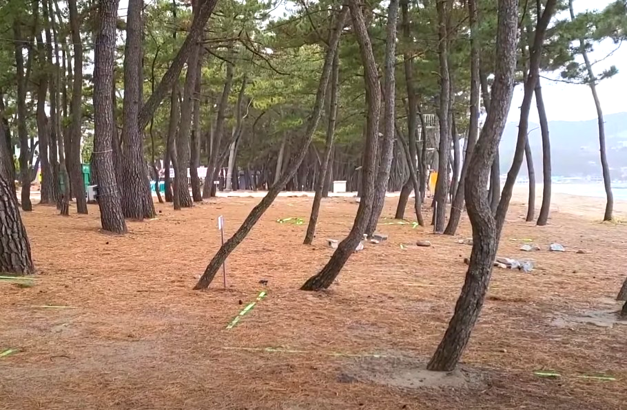 동해안 오토캠핑장 추천 베스트 5 알아보자