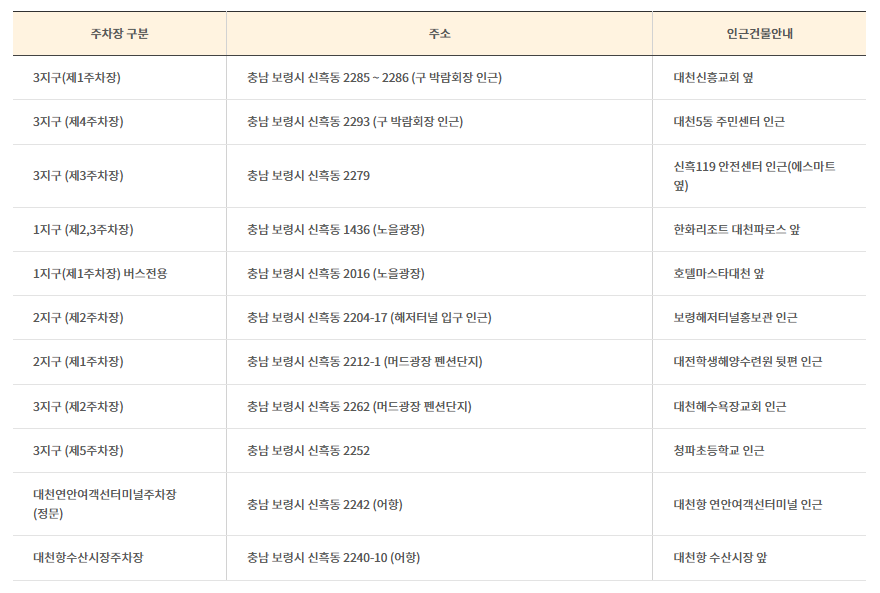 2025 보령머드축제 완벽 가이드