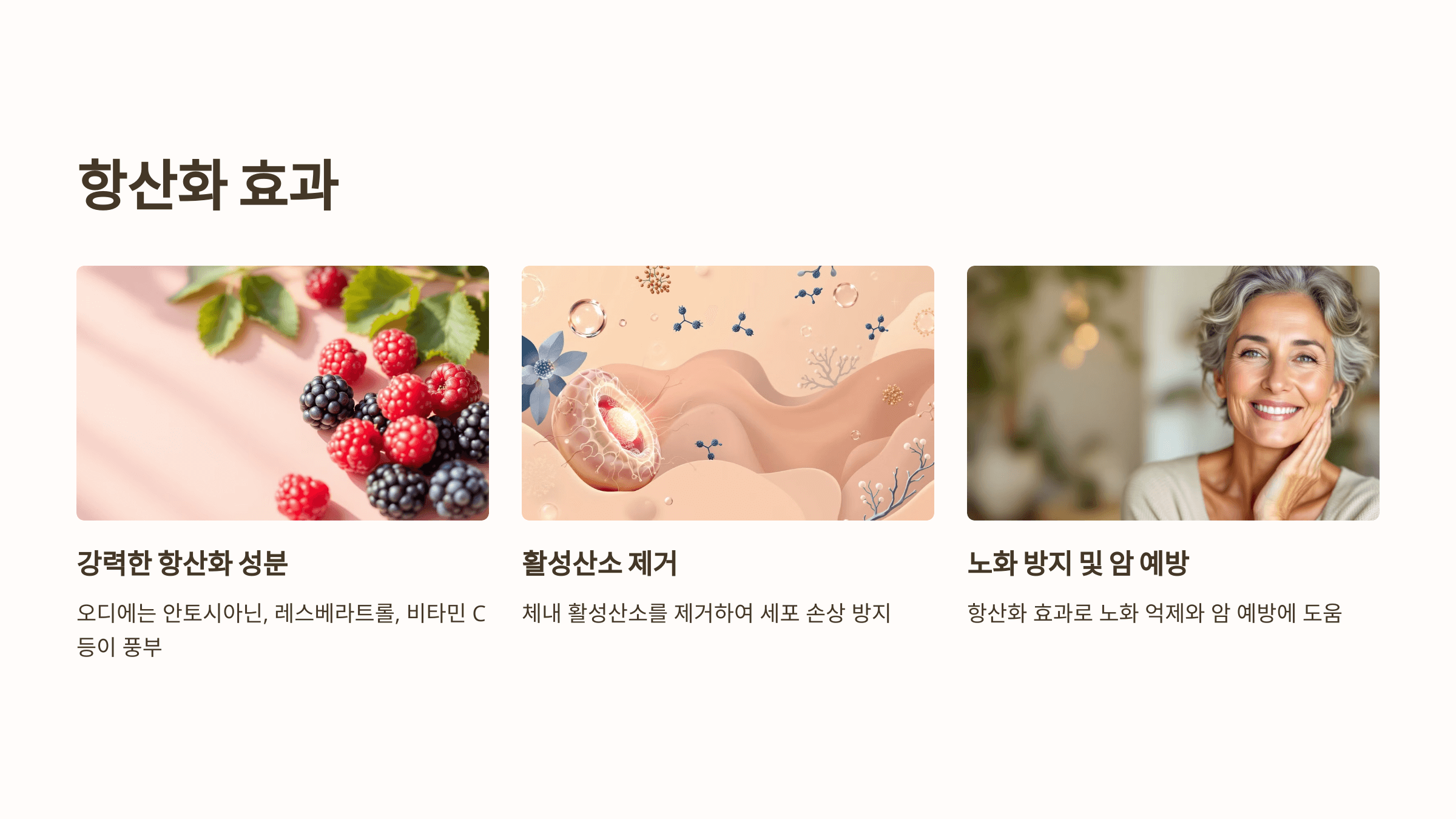 오디 사진입니다.