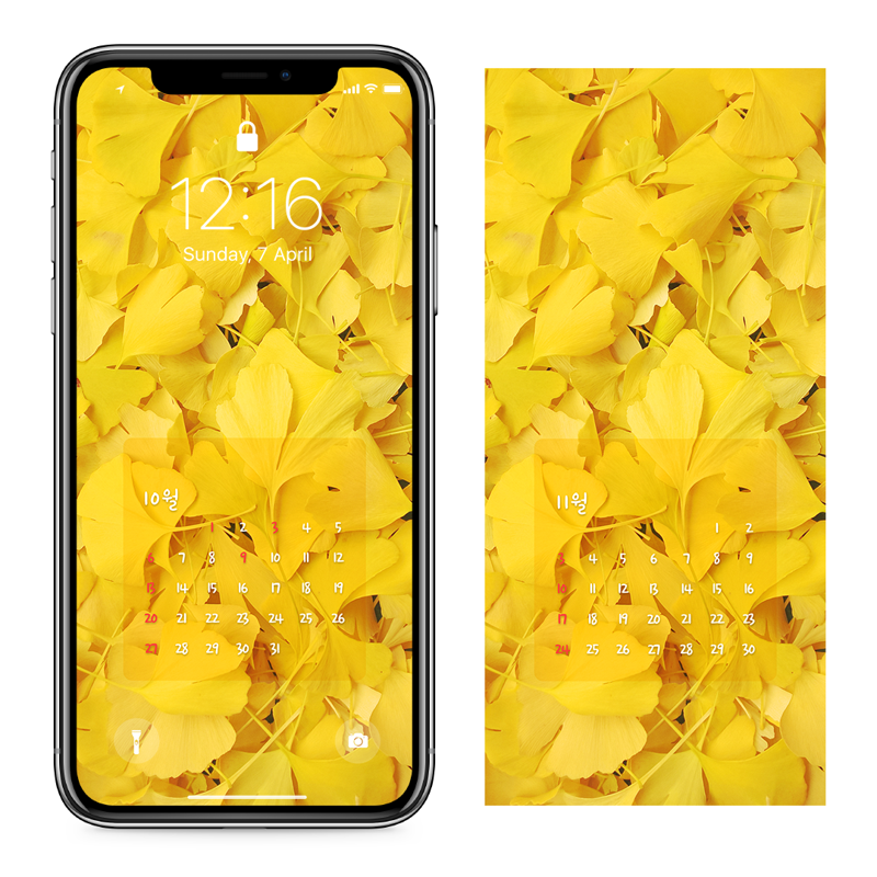 04 은행잎 AB - 2024년10월 아이폰달력배경화면