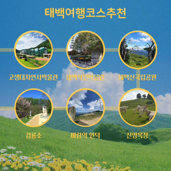 태백여행코스추천-고생대자연사박물관-석탄박물관-태백산국립공원-산양목장