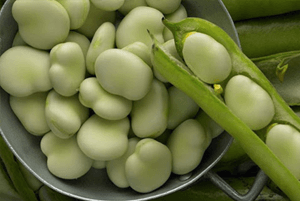 작두콩차 효능02