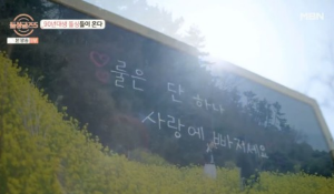 돌싱글즈5 전출연진 프로필 정보