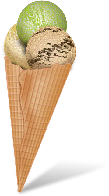 배라감사제 50%할인